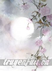 phien-ngoai-can-sac-nhu-thuong